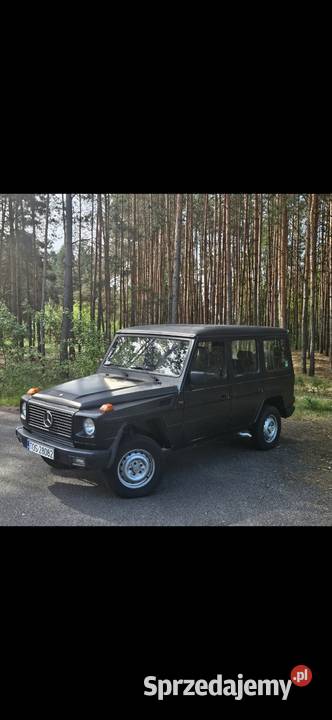 Sprzedam Mercedes G 463