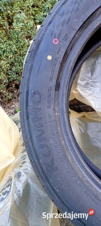 Kumho łódzkie
