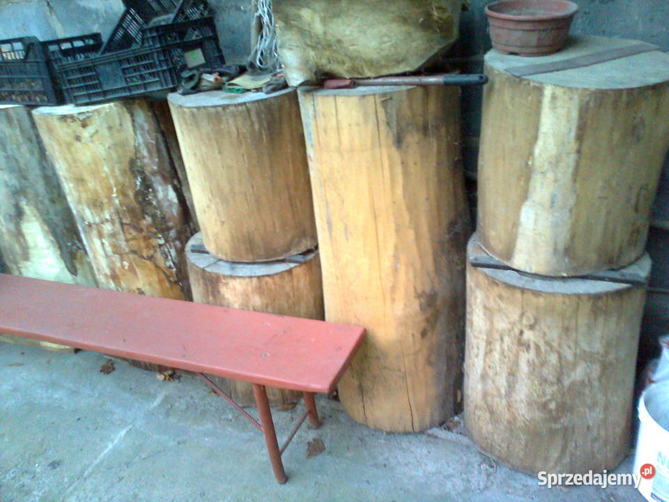 topola plastry monolit