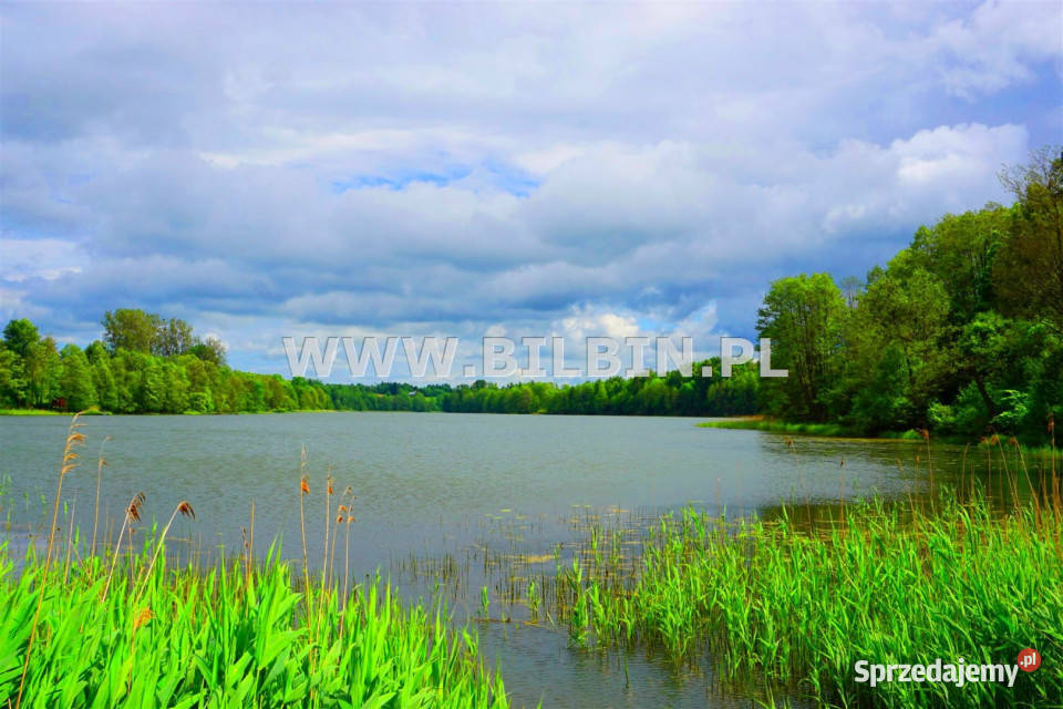 Działka Supienie 3728m podlaskie sprzedam