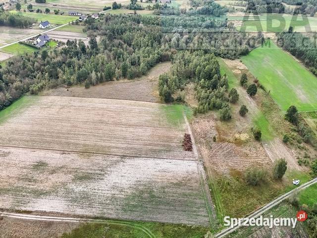 Działka rolna idealna na stadninę Brzózki gm 30500m2 wielkopolskie