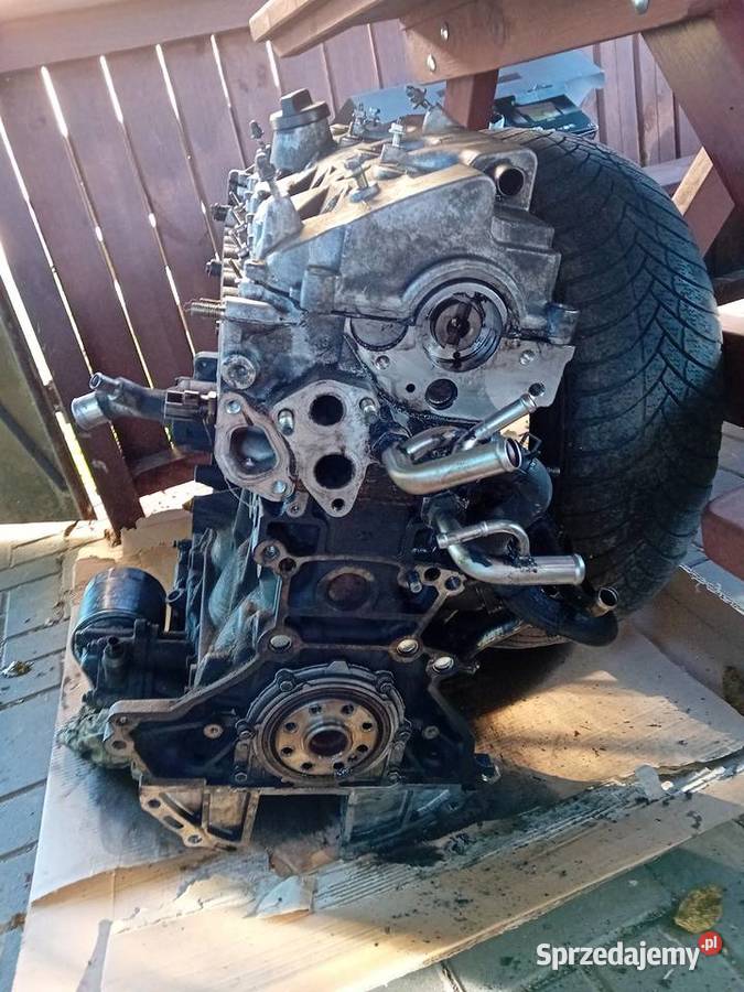 Silnik toyota avensis Verso 1CD D4D 116 Puławy