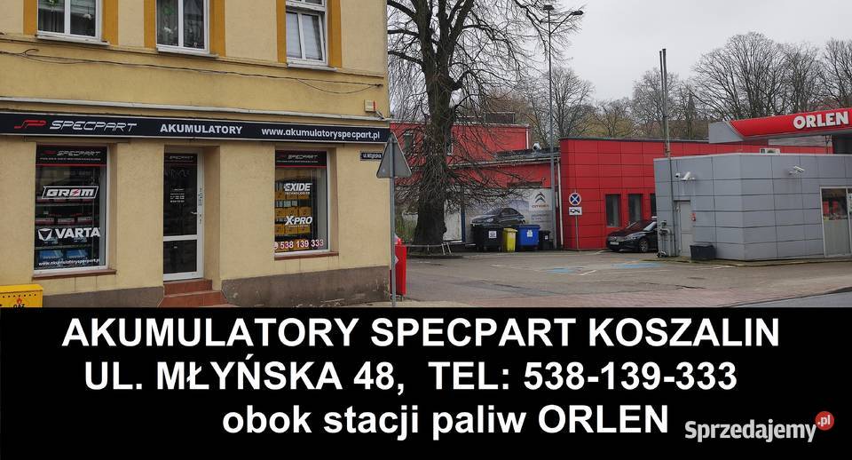 Akumulator SPECBAT 50Ah 390A Specpart Koszalin Mielno