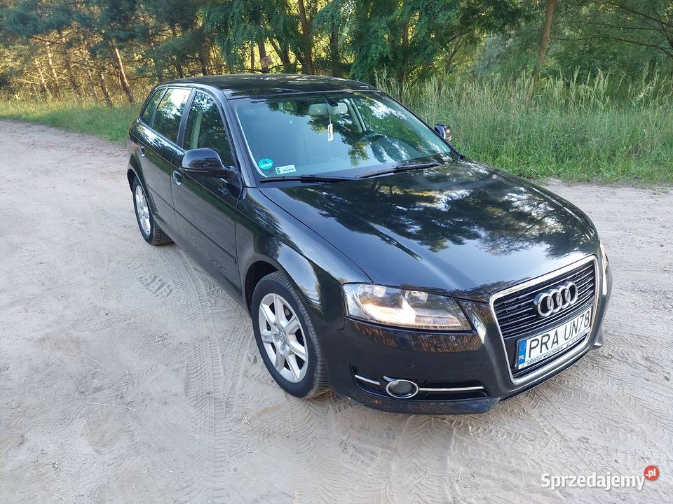 Audi isofix Jutrosin