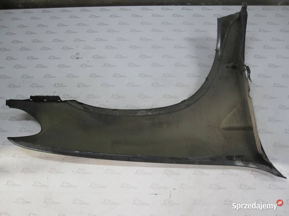 BMW X5 I E53 błotnik lewy przód