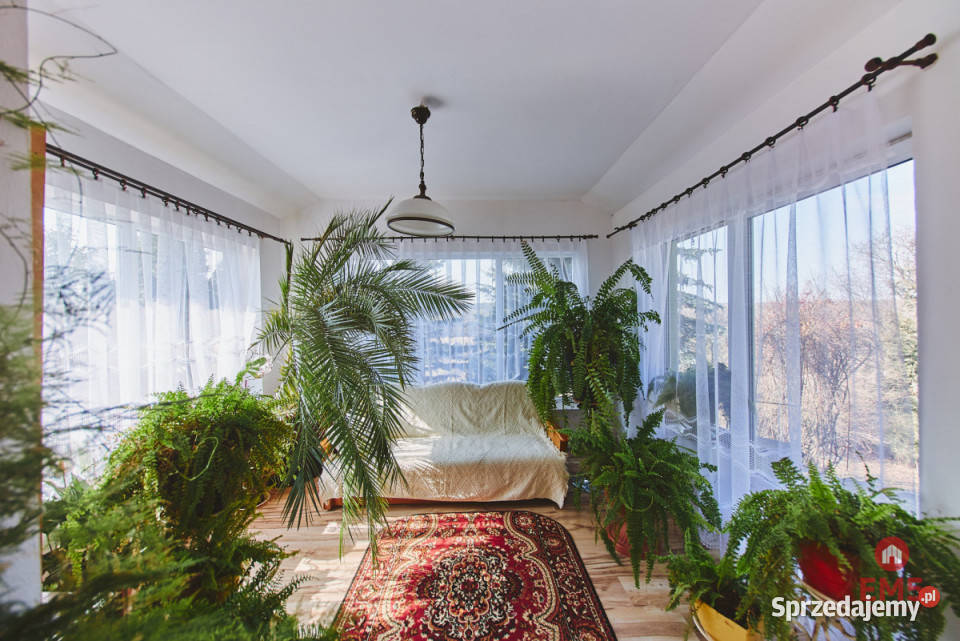 Dom wolnostojący 400 metrów Olszanka sprzedam