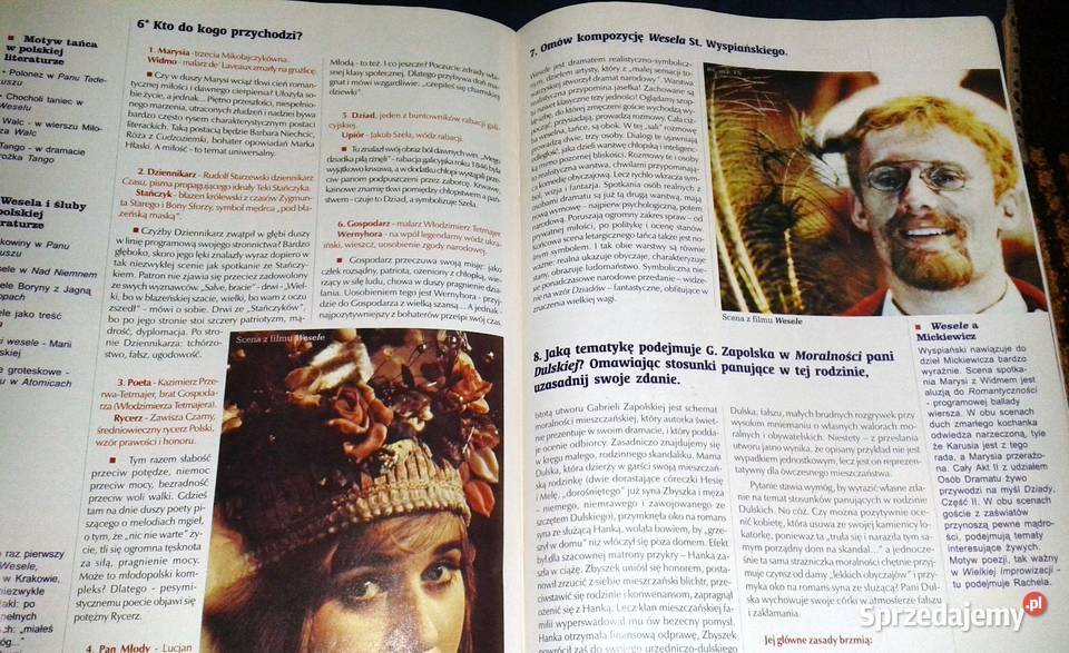 Cogito Język polski 6 Pytania i odpowiedzi miękka Chełm sprzedam