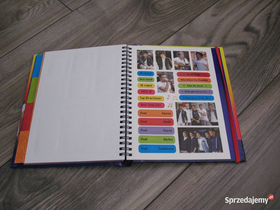 One Direction Mój przewodnik 100 nieoficjalny sprzedam