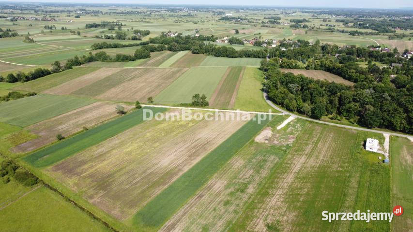 Działka Strzelce Wielkie 3188m2