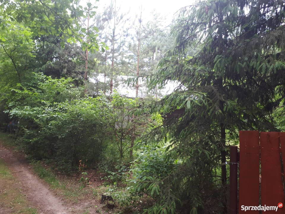 działka rekreacyjna Narwią z domkiem asfalt Dzbądzek sprzedam