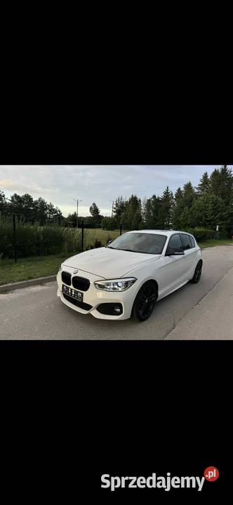 BMW F20 20d 125tyskm M Pakiet nieuszkodzony Biłgoraj
