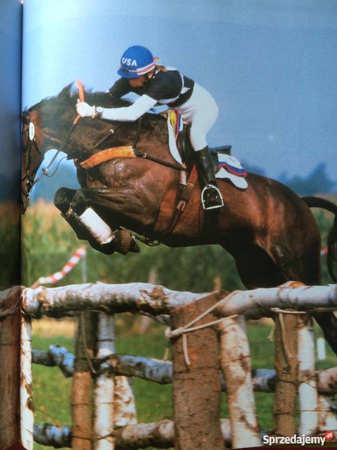 400 Konie Antykwariat Szczecin