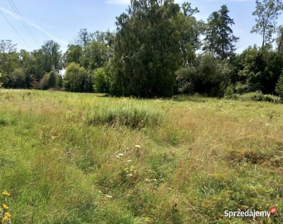 Działka Warszawy 250 m2 Klusek