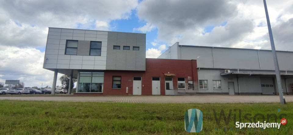 Lokal 3041m2 Czosnów