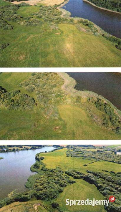 Udział 12 w nieruchomości niezabudowanej 12700ha sprzedam