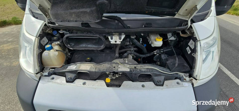 Fiat Ducato Ducato Maxi 23 105 Bezwypadkowy Pleszew