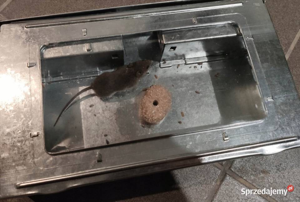 Pułapka na myszy chwytacz żywołapka metalowa Olsztyn