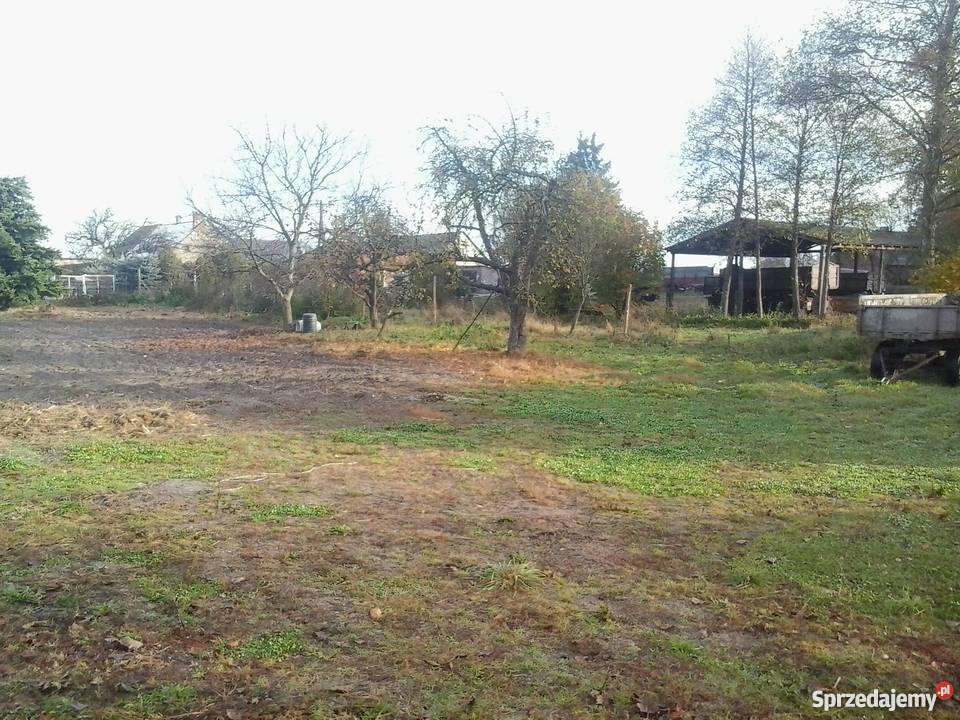 Dzialka 32000zl rolno siedliskowa Skoraczewo sprzedam