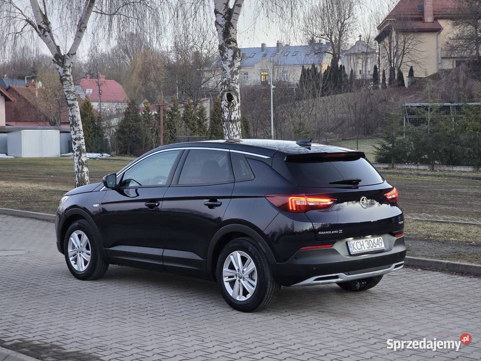 Opel Grandland X automat benzyna benzyna Leżajsk
