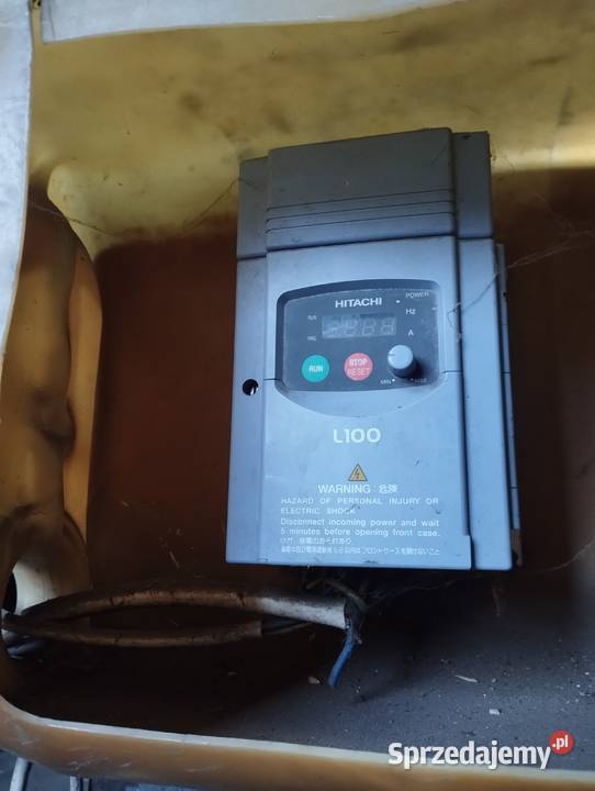 Taśmociąg do różyczkowania brokuła mazowieckie Łosice