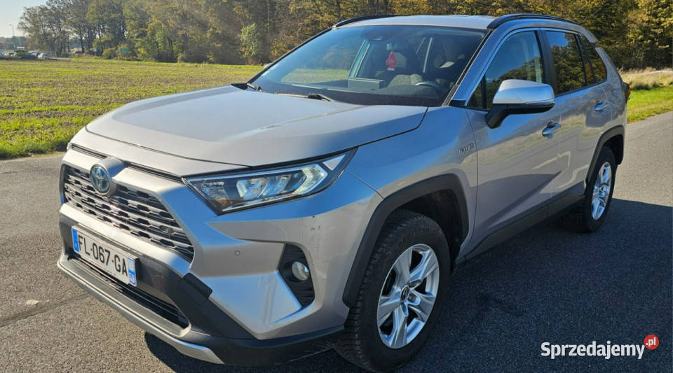 Toyota RAV4 25 hybrid V 2018 Pleszew