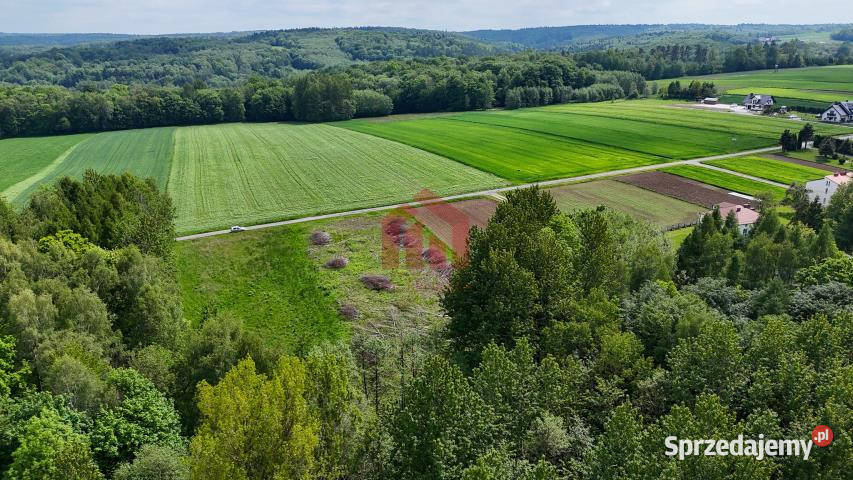 Grunt 980m2 Będzienica Sprzedaż