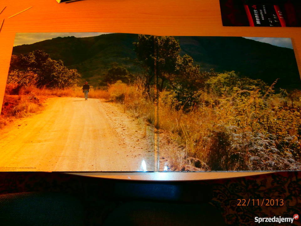 Płyta winylowa podkarpackie Dębica