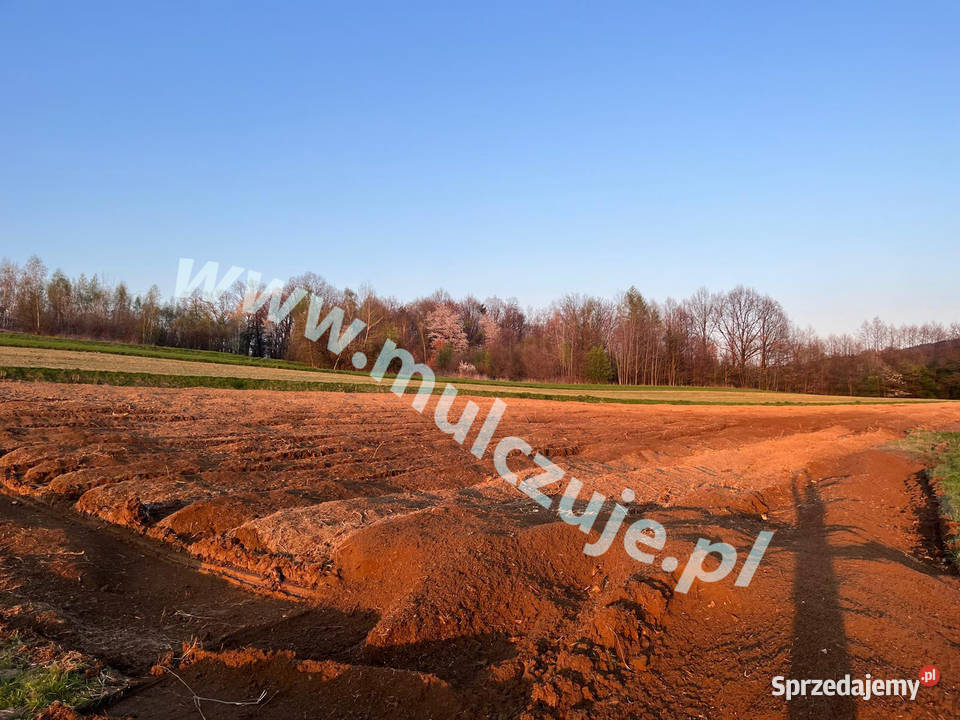 Wycinka drzew Karczowanie rekultywacja działek Kraków