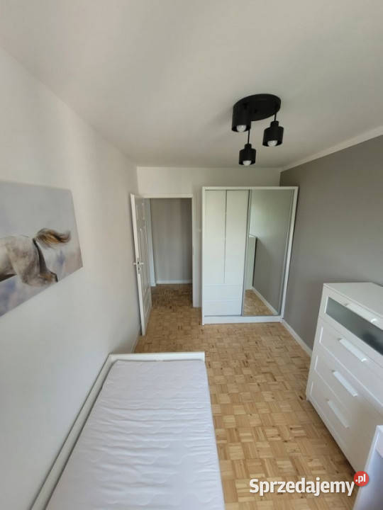 Bezpośrednio Kamienna 4 pokoje remoncie Wrocław