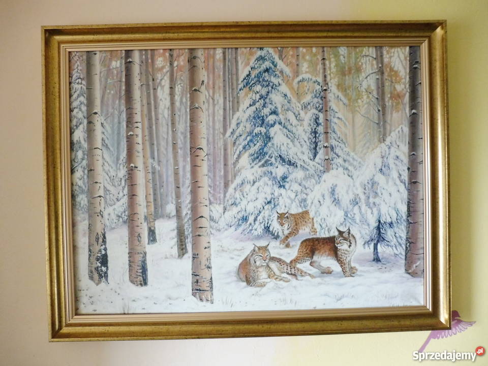 Rysie w lesieolej 80x60 Kraków