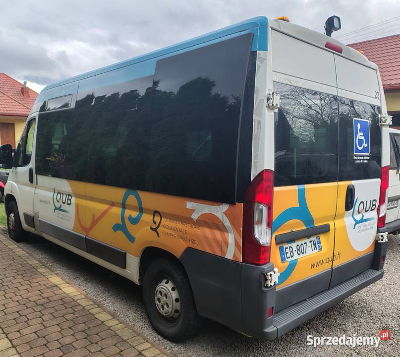 Citroen Jumper do przewozu niepelnosprawnych