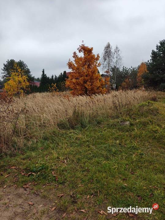 działka Jaskółcza Biała Podlaska