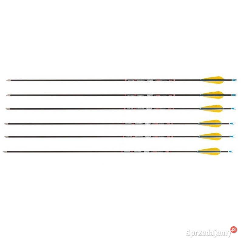 Strzały do łuku klasycznego carbon 12x zestaw