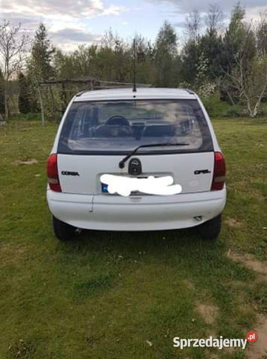 opelek biały Młyny