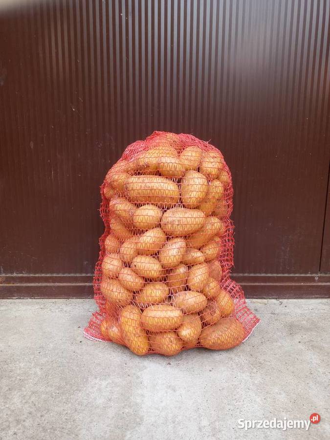 Ziemniaki jadalne QUEEN ANNE Wieruszów