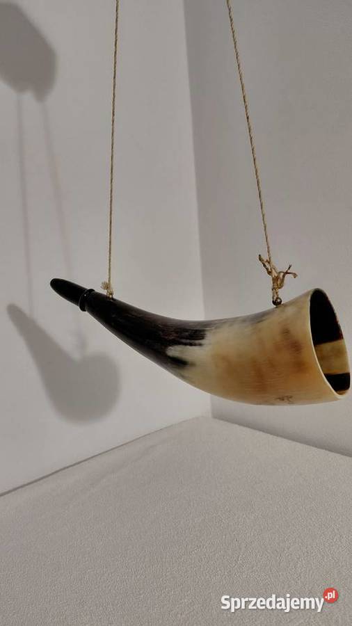 róg myśliwski bawoli