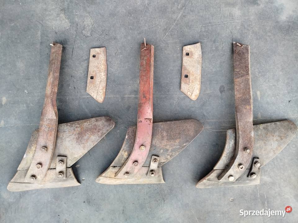 Przedpłużki pługa zagonowego Polskiego Strzelno