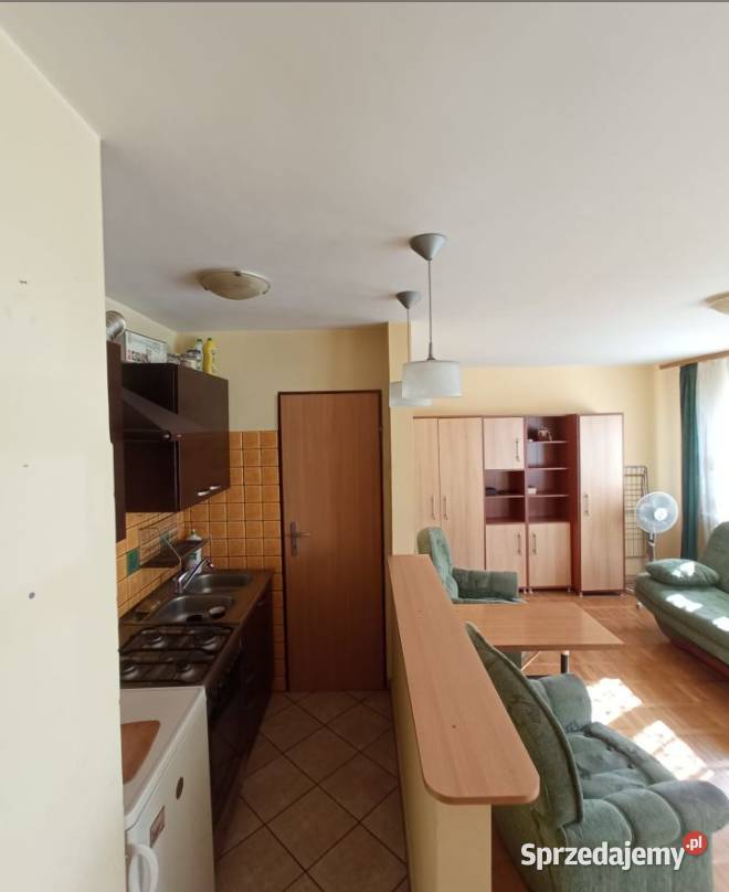 1pok 27met Grunwaldzkiej PIWNICAOGRÓDEK Legnica