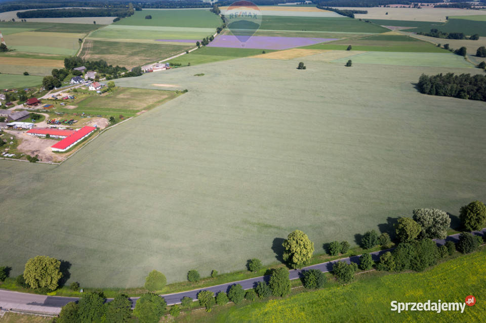 901 ha MPZP produkcja logistyka 1 S7 235m Sprzedaż warmińsko-mazurskie Białuty