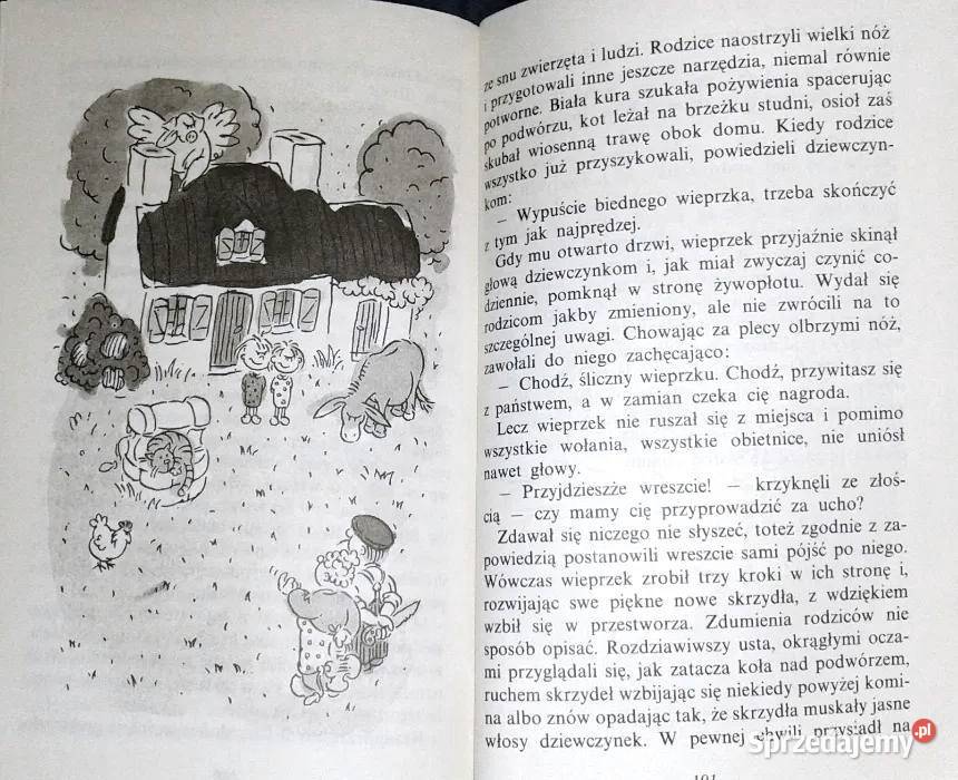 Czerwone opowieści kota ze starej wierzby Marcel Chełm