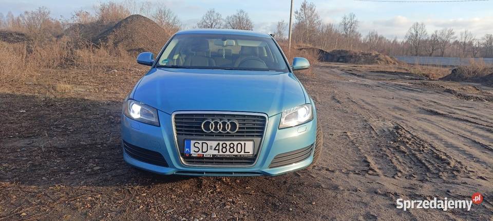 Audi A3 8P 19 TDI Siewierz sprzedam