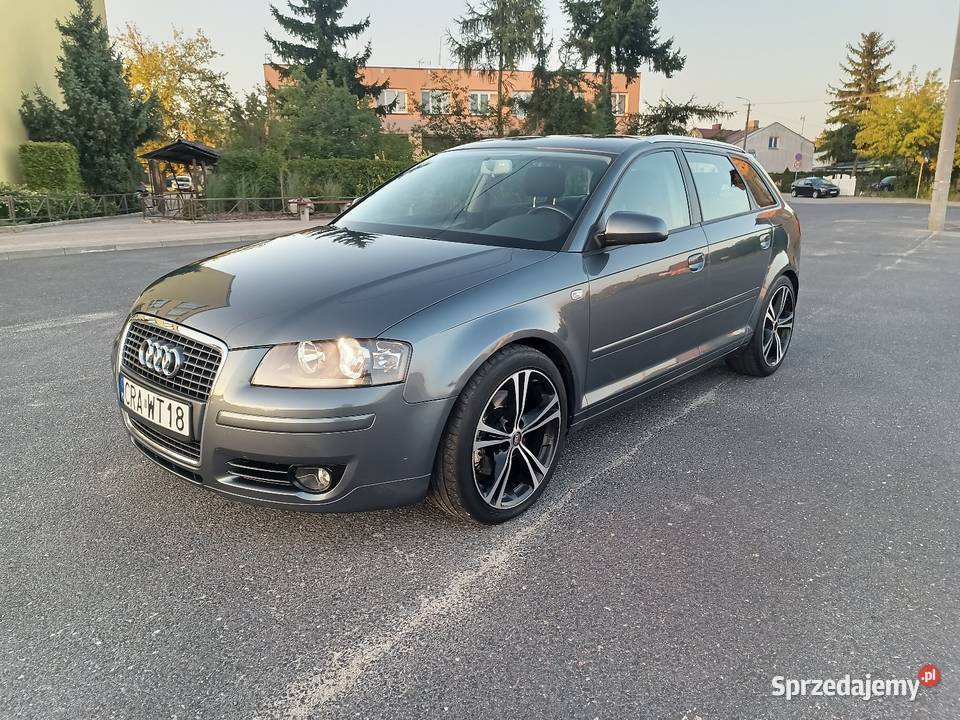 Audi A3 8P 190 CHIP 20 TDI kujawsko-pomorskie