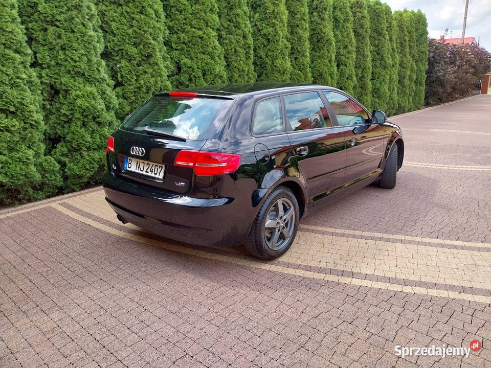 Audi A3 8P benzyna stan światła przeciwmgielne Witkowo sprzedam
