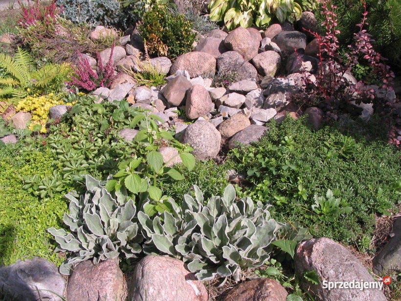 działkę pracowniczą ŁÓDŹ woda