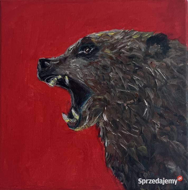 Niedźwiedź brunatny obraz olejny na płótnie  Świebodzin