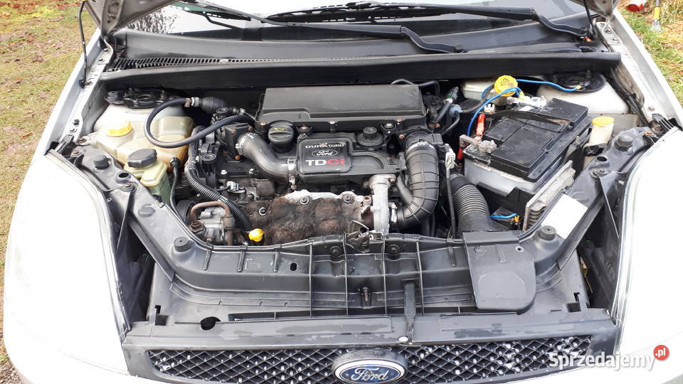ford fiesta 14 tdci diesel śląskie Poręba