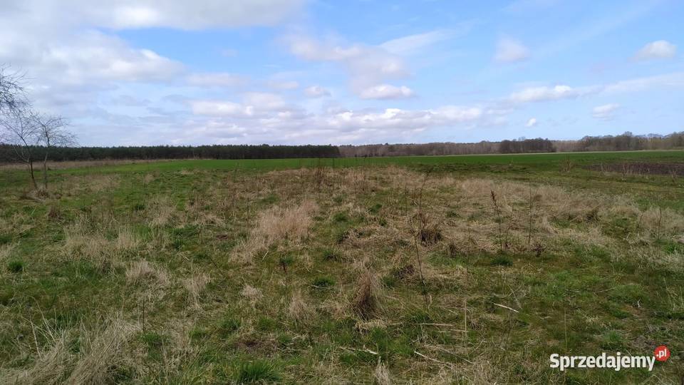 działka Przybiernówko zachodniopomorskie