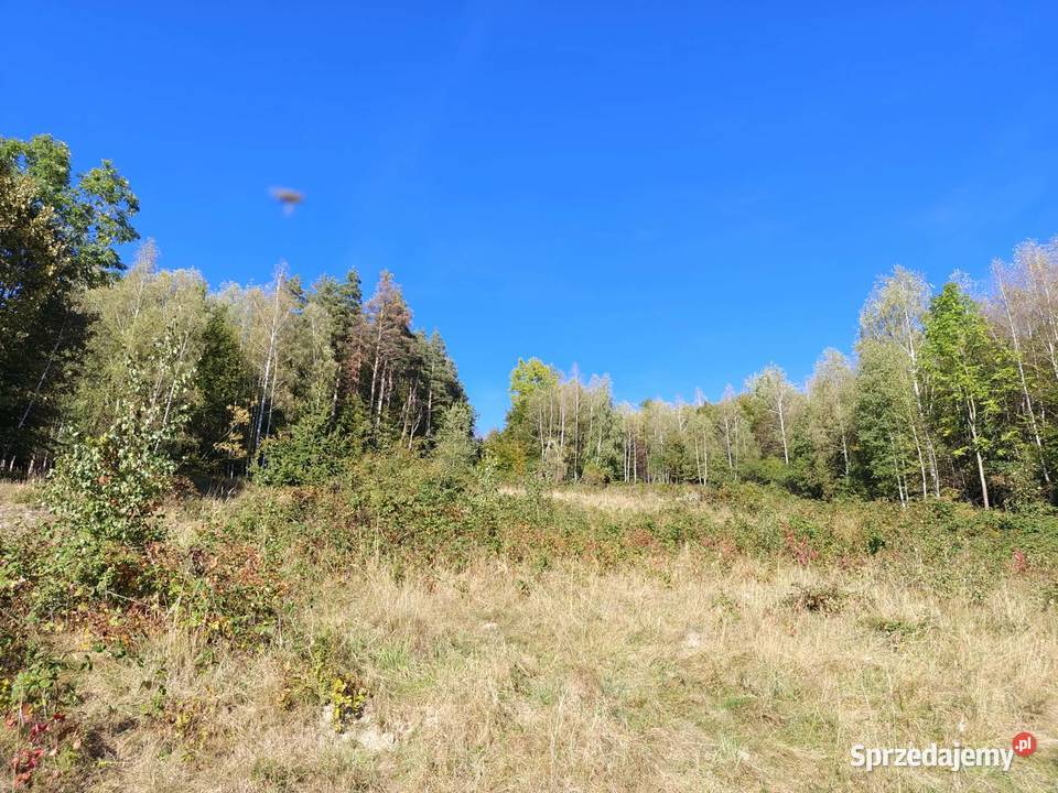 Działka widokowa w Zawoi z panoramą na Babią Zawoja sprzedam