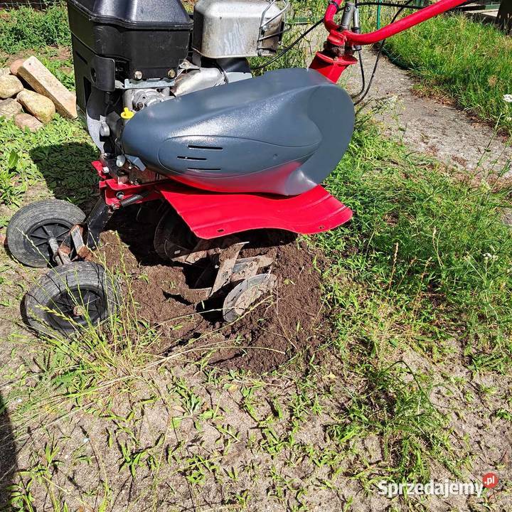 Glebogryzarka STERKINS 55 60 Wymieniony silnik Babimost