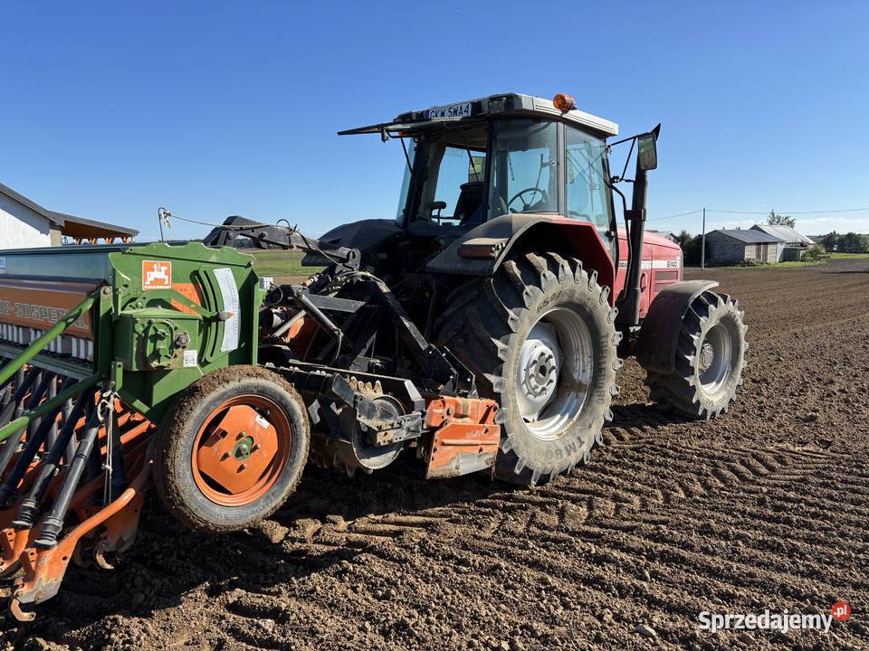 Massey Ferguson 8140 Kwidzyn sprzedam